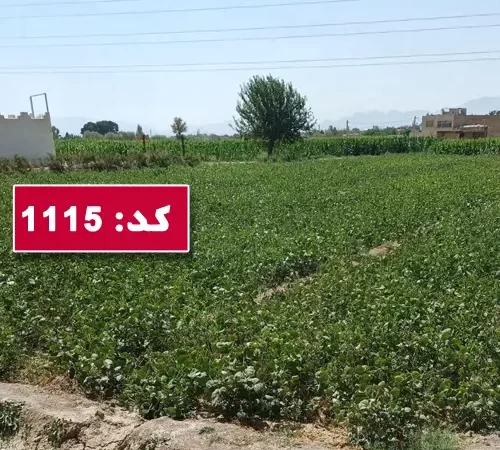 ملک های مسکونی در اطراف و محوطه سرسبز زمین کشاورزی در اصفهان
