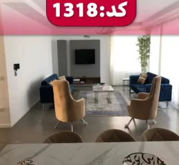 نمای داخلی نشیمن آپارتمان در اصفهان 56524564