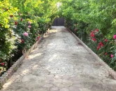 محوطه سرسبز و سنگ فرش شده خانه ویلایی در اصفهان 464854