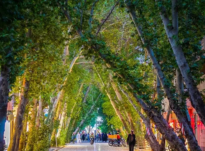 درختان سرسبز و بلند قامت خیابان شلوغ و پرتردد محله عباس آباد اصفهان 145615