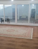 اتاق پذیرایی فرش شده و نورگیر و بخاری گازی آپارتمان در اصفهان 25464